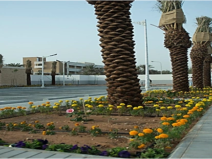 Saudi Industrial Authority MODON - SASO - Image 1